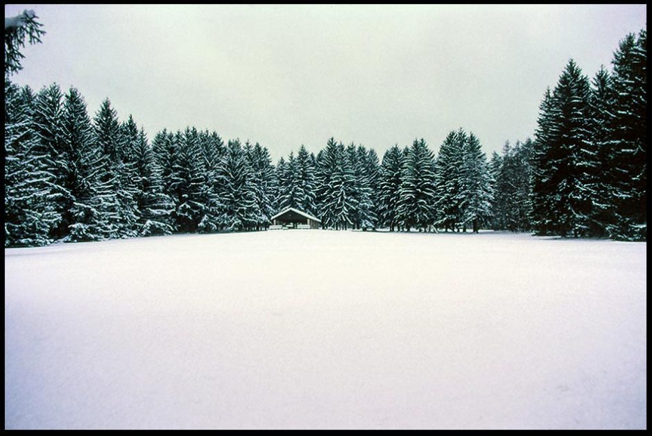 A lone log shelter sits in snow covered field surrounded by snow covered trees, Emery Park, South Wales, New York.