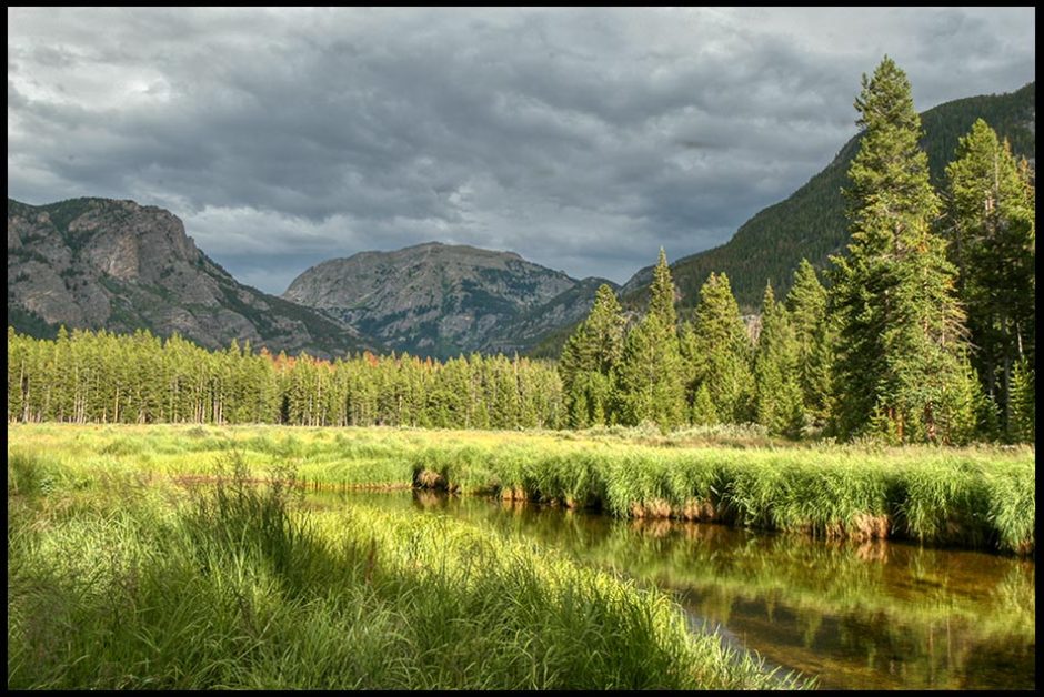 A lush green mountain meadow and stream, Rocky Mountain National Park, Colorado and Psalm 100:3. Bible verse the people of His pasture