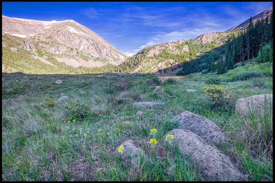 An green alpine meadow with small yellow flowers, San Isabel National Forest, Colorado. Bible Verse of the Day: Psalm 40:5 God transforms