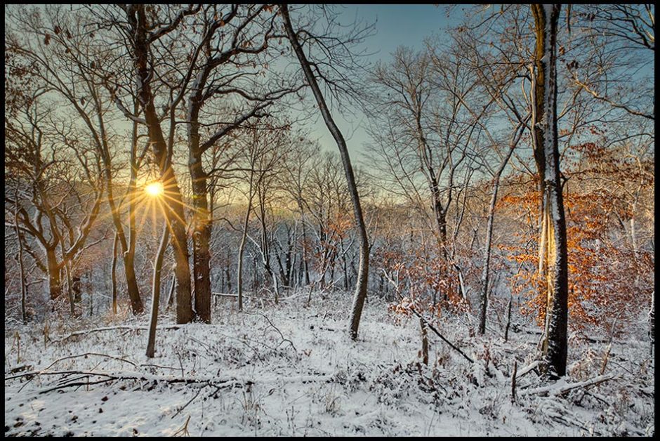 A winter sunrise at snow covered Fontenelle Forest, Bellevue, Nebraska. Bible Verse of the Day: Psalm 5:3 In the morning