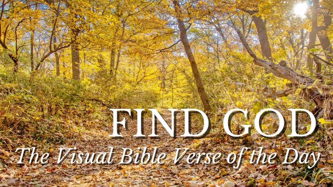 Find God path through a fall forest at Fontenelle Forest, Nebraska