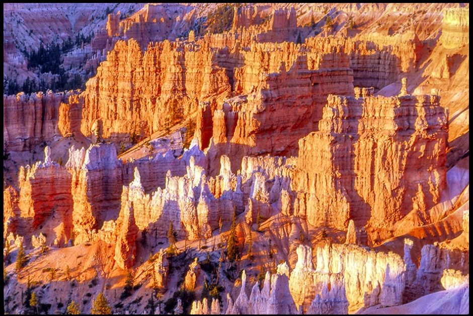 Red-orange and white hoodoo formations at sunrise in Bryce Canyon National Park, Utah and Isaiah 25:4 Bible Verse of the Day: God our defense