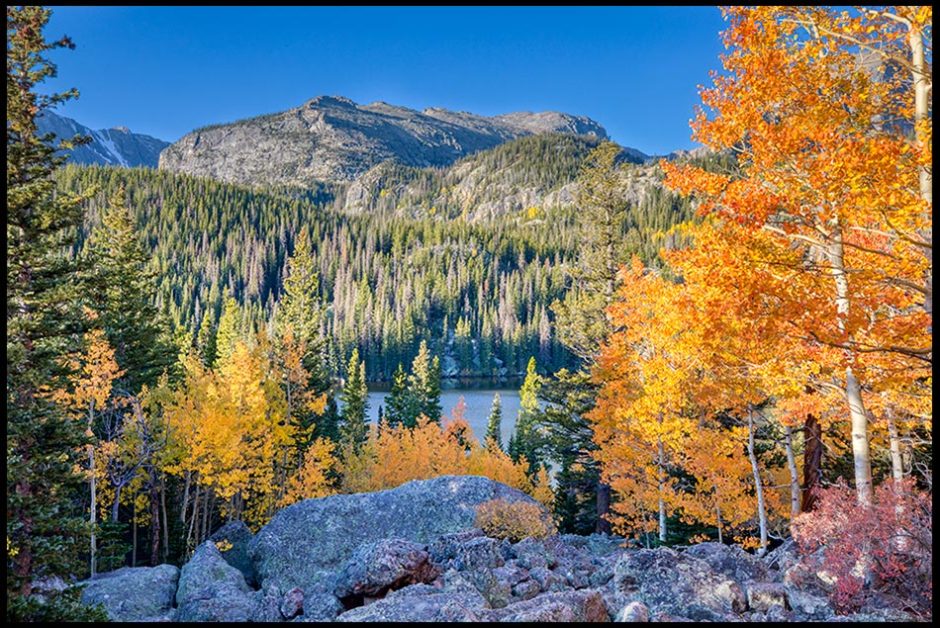 Orange fall aspen trees above Bear Lake in the mountains of Rocky Mountain National Park. Bible verse of the day Psalm 72:18-19 Filled with His glory