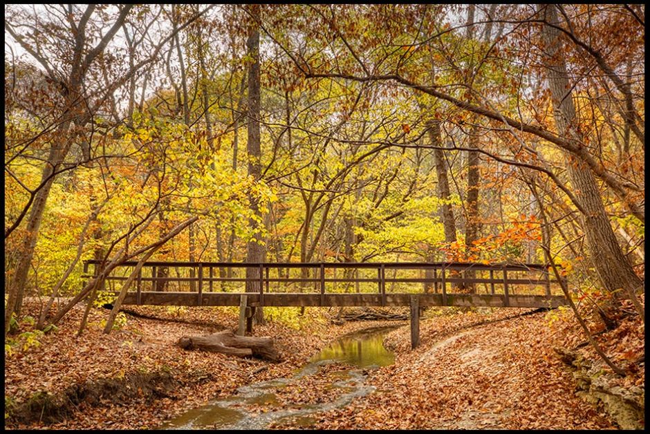 The David Andersen Bridge over a small stream in fall, Platte River State Park, Nebraska. Bible Verse of the Day: John 5:25. crossed over from death to life 