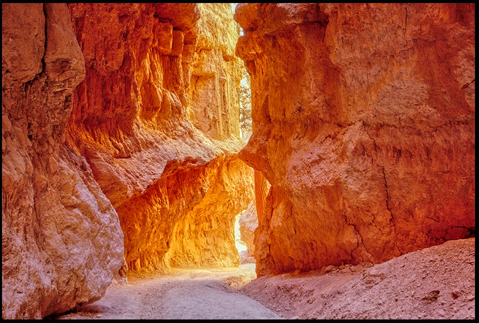 The narrow way through the red walls of Wall Street, Bryce Canyon National Park, Utah and John 12:46 Bible verse light to the World