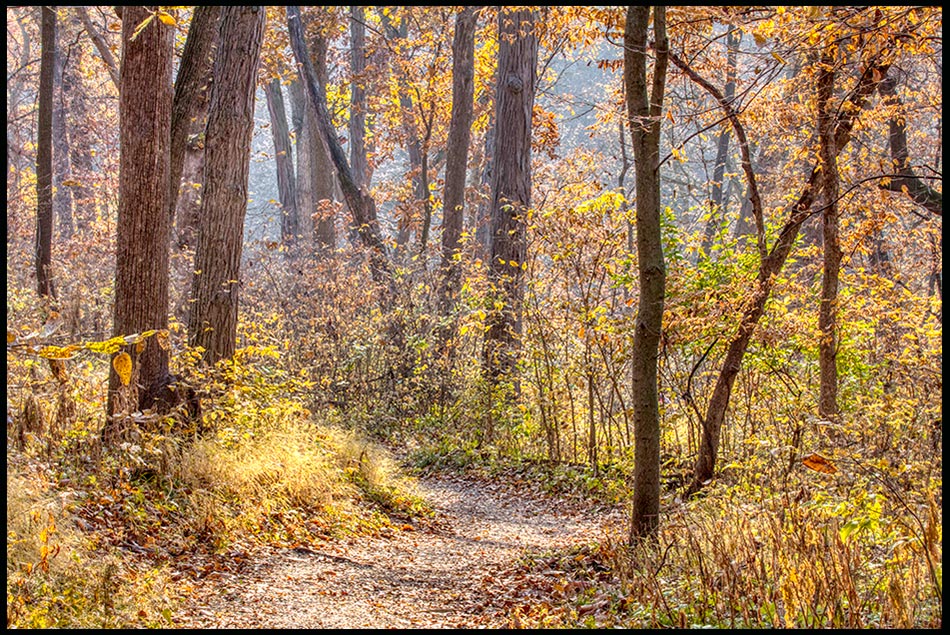 A path through fall trees in the morning light, Fontenelle Forest, Bellevue, Nebraska. Proverbs 4:18 Bible verse of the day