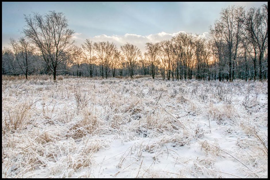 Snow covered meadow and winter trees in the background, Lake Manawa State Park, Iowa. Bible Verse of the Day: Psalm 147:17 