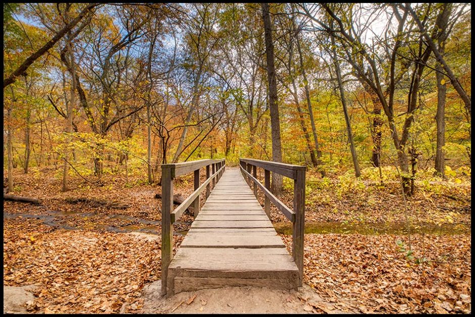A narrow footbridge over a small stream in fall with leaves all on the ground. Bible verse of the day Matthew 7