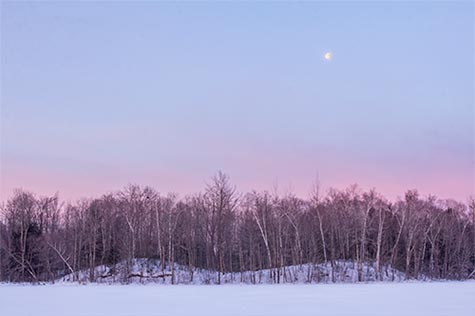 Stuff in early morning magenta and blue sky with the full moon above bear winter trees and snow. Situation like this are great for spiritual photography