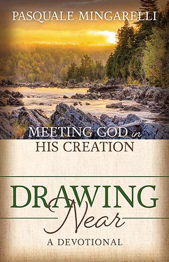 Cover of the devotional book Drawing Near: Meeting God in His Creation by Pasquale Mingarelli ISBN 9781636980584