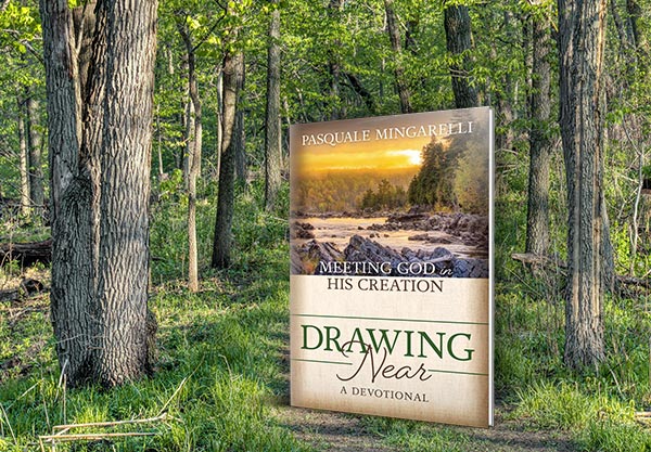 The Christian devotional Drawing Near: Meeting God in His Creation overlaid on a green forest landscape. The book makes for a perfect Father's Day gift.