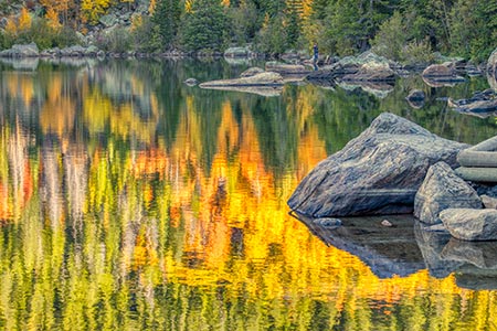 Aspen trees with yellow and orange fall colors reflected in Bear Lake, Rocky Mount National park