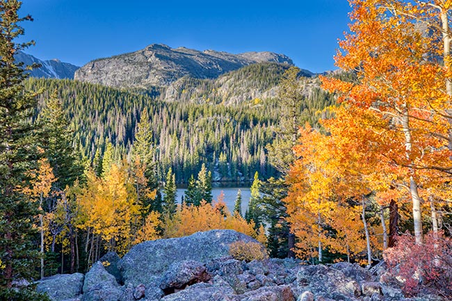 Blue sky with mountains, a lake and fall aspen trees with orange color in Rocky Mount National Park above Bear Lake. The photo illustrates seeing the majesty of God in our photographs