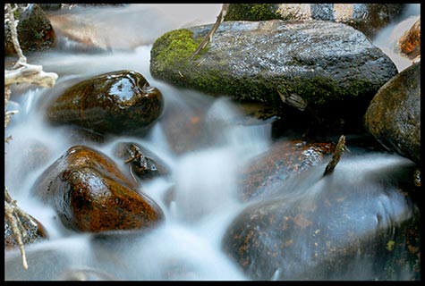 The Rocks will Cry Out - The Visual Bible Verse of the Day