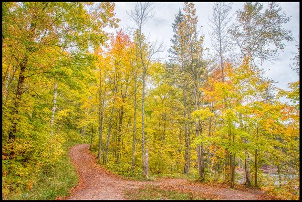 A trail through autumn trees in Jay Cooke State Park, Minnesota and Bible verse Jeremiah 32:38-39 Path to God