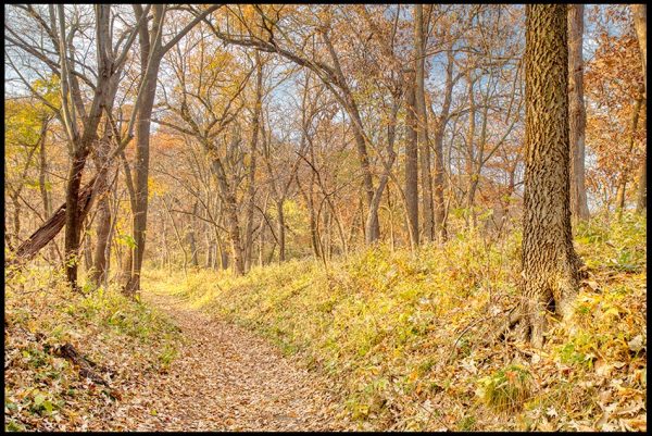 A restful path through though mostly bare fall trees still with leaves of autumn color, Fontenelle Forest, Bellevue, Nebraska. Bible Verse of the Day: Hebrews 4:9-10 a sabbath rest