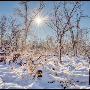 Snow and frost covered trees beneath the sun and a bright blue sky, Fontenelle Forest, Bellevue, Nebraska.Bible Verse of the Day: Ephesians 2:6-7 and Heavenly realms