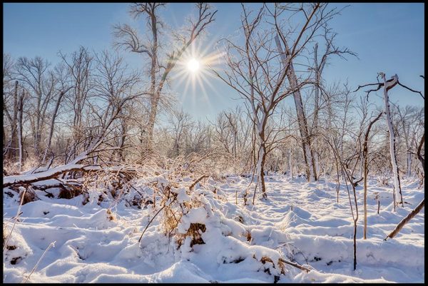 Snow and frost covered trees beneath the sun and a bright blue sky, Fontenelle Forest, Bellevue, Nebraska.Bible Verse of the Day: Ephesians 2:6-7 and Heavenly realms