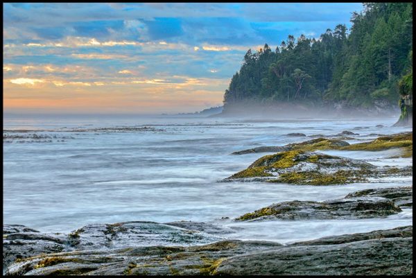 The pre-dawn sky behind the rocky tree lined shore of the Strait of Juan De Fuca, Olympic National Park, Washington State.