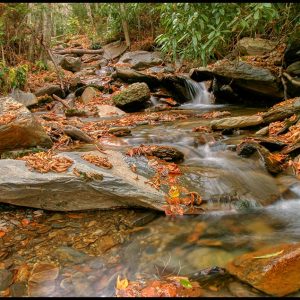 Stream covered with fall leaves, Great Smoky Mountains National Park, Tennessee and Isaiah 12:2, 3 refreshes and restores