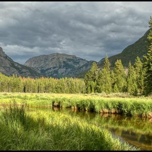 A lush green mountain meadow and stream, Rocky Mountain National Park, Colorado and Psalm 100:3. Bible verse the people of His pasture