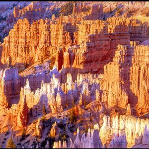 Red-orange and white hoodoo formations at sunrise in Bryce Canyon National Park, Utah and Isaiah 25:4 Bible Verse of the Day: God our defense