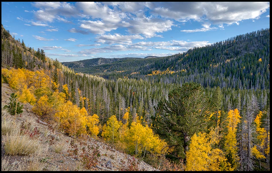  A valley in the Foothills of the Snowy Range, Wyoming. Overcomes the World Bible verse of the day 1 John five