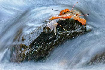 Slow, shutter, speed photograph of leaves on a rock in the middle of a stream. Abstract photographs of fall