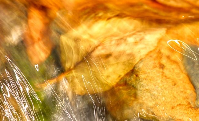 Water flows over fallen leaves in a small stream in Great Smoky Mountain National Park, It's good to take abstract photographs of fall